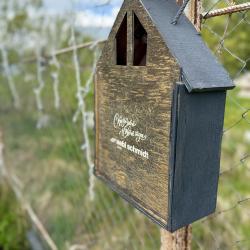 Фото Отель РETRUSНKА.Просторы (Петрушка)