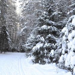 Фото Отель Арслан