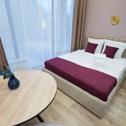 2-местные 1-комнатные апартаменты улучшенные с 1 двуспальной кроватью