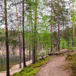 Фото Отель Радужный лес