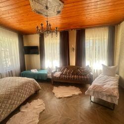 Номер стандарт с 1 двуспальной кроватью 1 категории