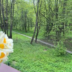 Фото Новые Дизайнерские апартаменты в центре