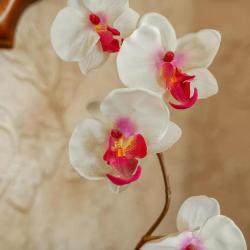 Фото Отель Разгуляй