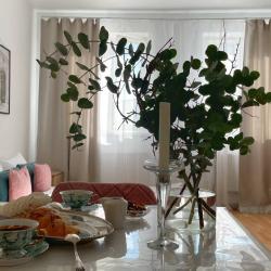 1-комнатные апартаменты студия