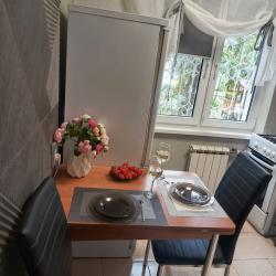 Фото Апартаменты на улице Роз 56