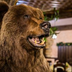 Фото Отель Берлога