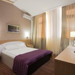 Фото Отель Алтайский замок