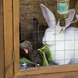 Фото Отель Загородный комплекс Аракуль