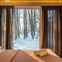 Дом с видом на лес гостиная со спальней 36м2