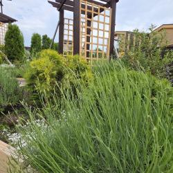 Фото Отель Abrau Soul&Spa(Абрау Соул&Спа)