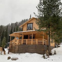 Фото Отель Дом Петровича