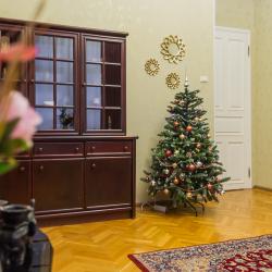 3-комнатные апартаменты студия
