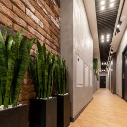 Xenia city hotel Zelenograd (Ксения) — 151b2e23a3efe4db50f60b2e896e9911