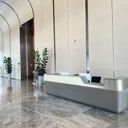 Фото Отель T-City Presidential Hotel (Т-Сити Президентиал)