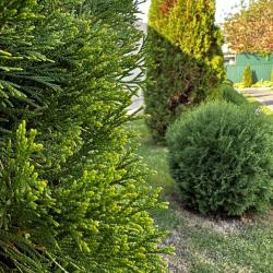 Фото Отель Leto (Лето)