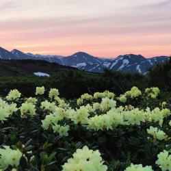 Фото Отель Vilyuchik Camp (Вилючик Кэмп)