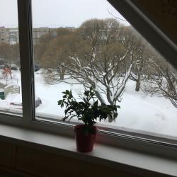 Фото Отель Гостевой дом Лофт