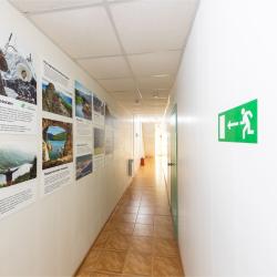 Фото Отель Гостевой дом Зеленый