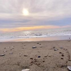 Фото Отель гуна