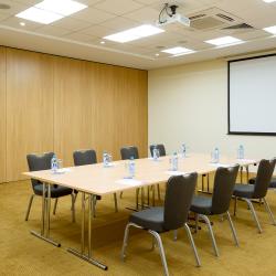 HolidayHall Samara (ХолидейХолл Самара) (бывш. Holiday Inn Samara) — 15647a9d6745a38864bc508b899d0f31