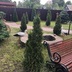 Фото Отель Гостевой Дом Дива
