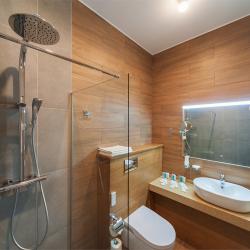 Номер стандарт бизнес #207