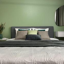 1-комнатные апартаменты студия