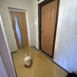 Фото Апартаменты на улице Алтайская