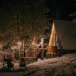 Фото Отель Хвойная хижина