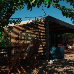 Дом у яблони