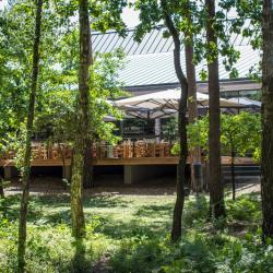 Фото Отель Chalet Greenwood (Шале Гринвуд)