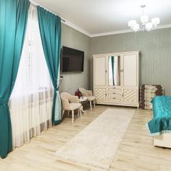 Номер полулюкс с 1 двуспальной кроватью (2 корпус)