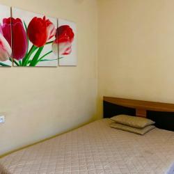 1-комнатные апартаменты стандарт №2