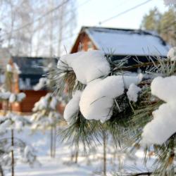 Фото Парк-отель Песчаный