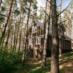 Номер Стандарт. Гостевой корпус, 1 этаж
