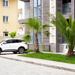 Фото Отель Дизайнерская квартира у моря в ЖК Море