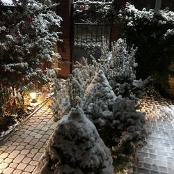 Фото Отель Salve (Сальвэ)