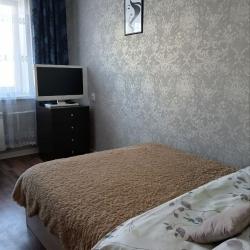 Фото Апартаменты на улице Дружинина 62