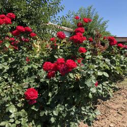 Фото Отель Город-Ок!