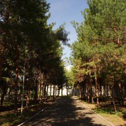 Фото Отель Санаторий Евромед