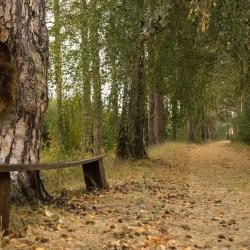 Фото Отель Загородный комплекс Аракуль