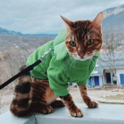 Фото Отель ВиллаЛила