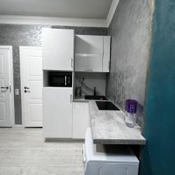 фото 7 AlexHome (АлексХоум) на улице Мишина 34к1-3