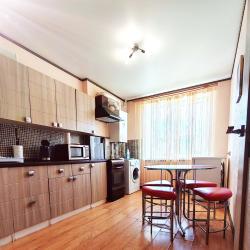 Фото Апартаменты на улице Камышинская 95