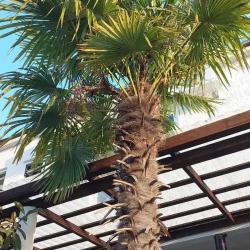 Фото Отель У Дарьи