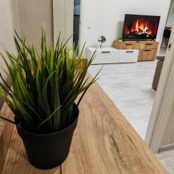 2-комнатные апартаменты студия