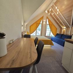 1-комнатные апартаменты студия (мансарда)