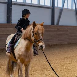 Фото Парк-Отель Басовское