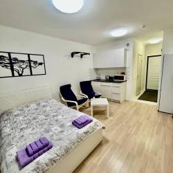 Фото Отель FAMILY COMFORT (ФЕМЕЛИ КОМФОРТ) на улице Александры Монаховой