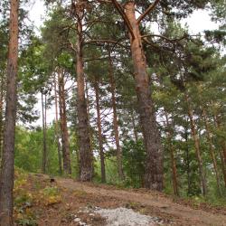 Фото Парк-отель ий